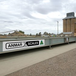 Anmar Scales磅桥